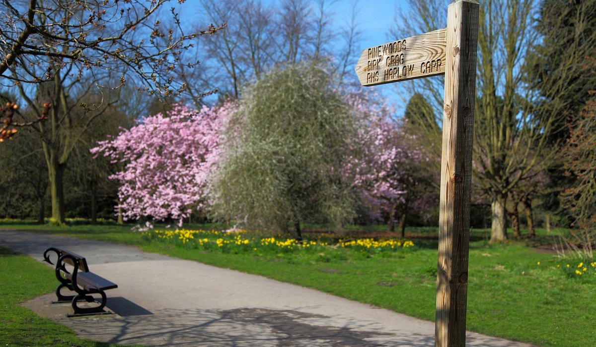 Choosing Native Flowers for a Wildlife Friendly Border