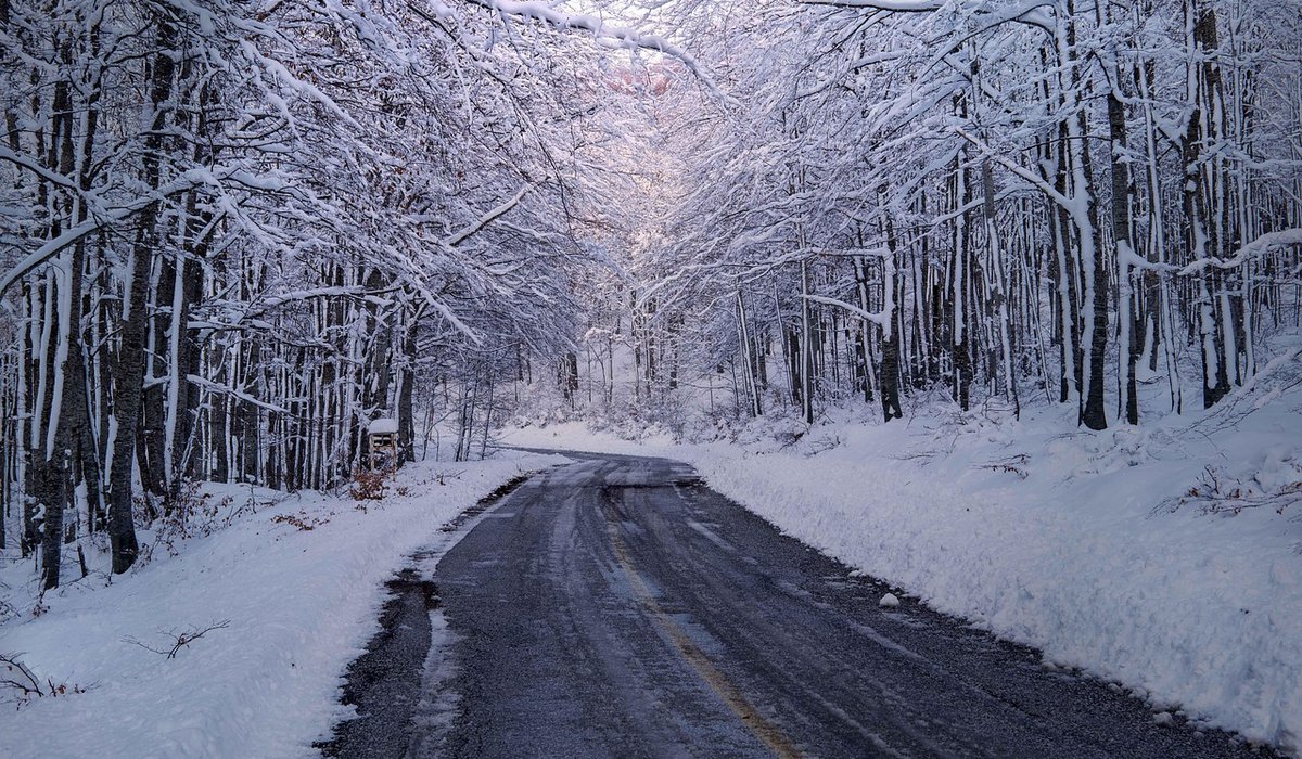 Organising a Village Hall Book Swap Evening